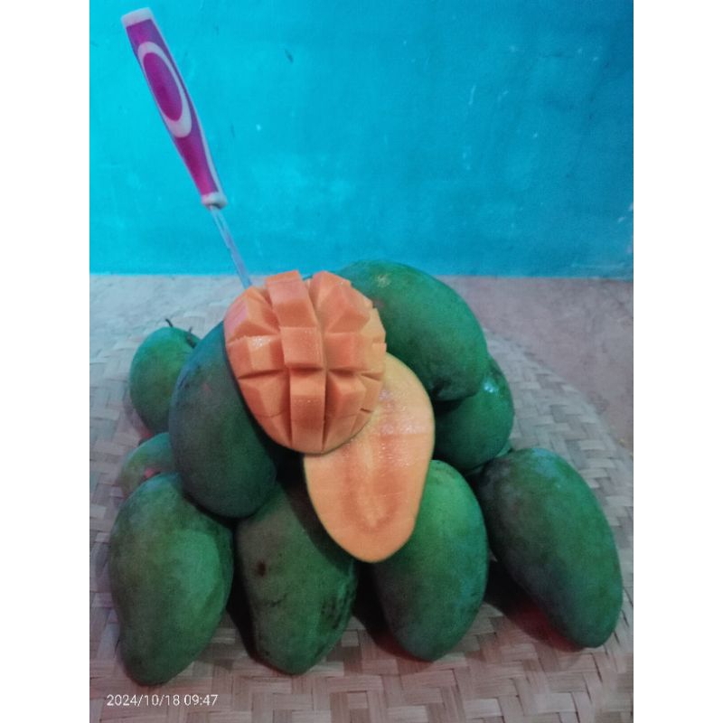 

mangga alpukat/harumanis