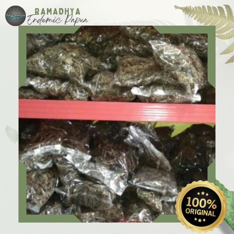 

Sarang Semut Asli Papua Original 100% Sarang Semut Putih Asli Papua Kualitas Terbaik Harga Termurah Pengobatan Herbal Bukan abal abal