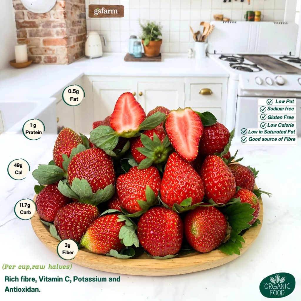 

Strawberry / Buah strawberry / Strawberry Fresh / Strawberry Premium / Strawberry Organik / Strawberry Hidroponik