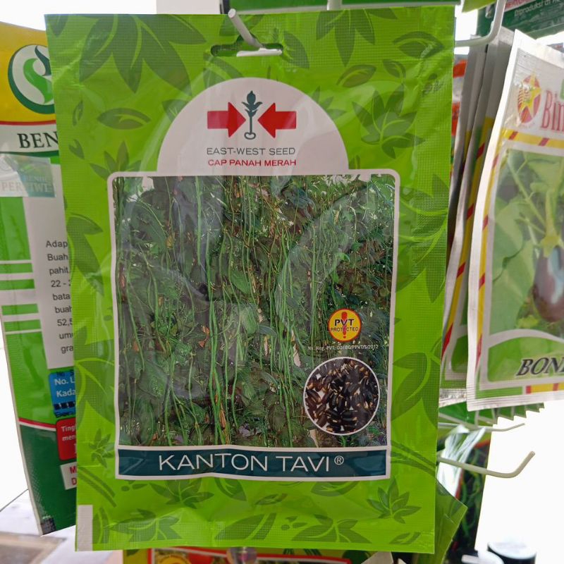 bibit kacang panjang