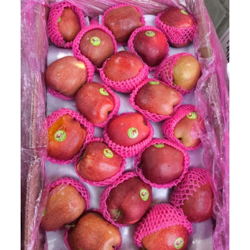 

APEL IMPORT REDSTAR /Kg