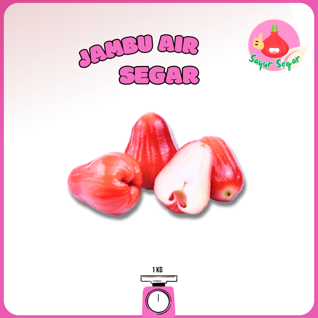 

Sayur Segar - Jambu Air Merah/Hijau Segar 1 kg