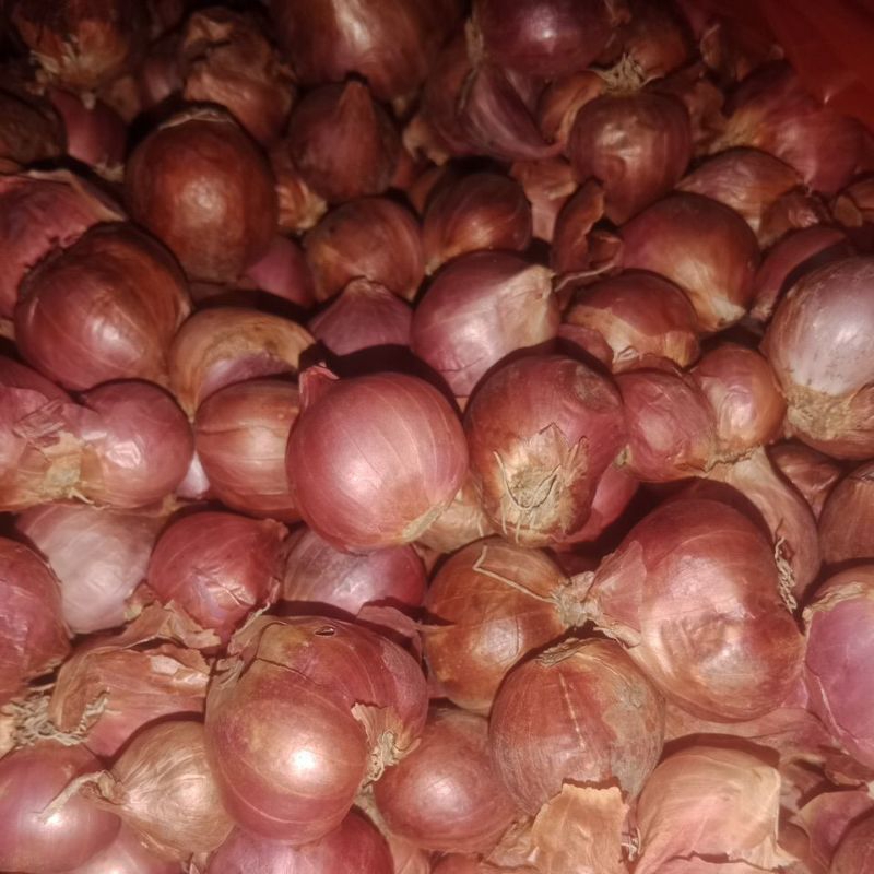 

bawang merah besar probolinggo 1/2kg