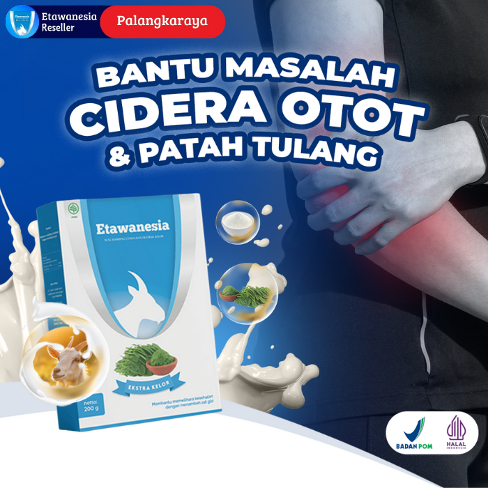 

2 Box Susu Kambing Ekstrak Daun Kelor Terapi Tulang Dan Sendi Etawanesia Untuk Pemulihan Cidera Otot Engkel Patah Tulang Akibat Kecelakaan