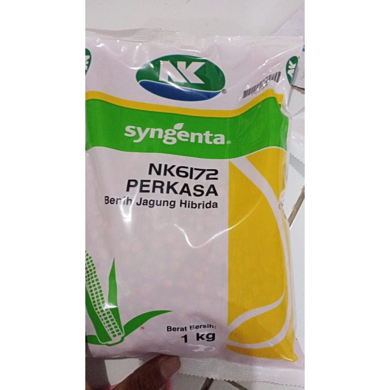 Benih JAGUNG HIBRIDA NK6172 PERKASA 1KG#bibit jagung#jagung perkasa#nk6172 perkasa