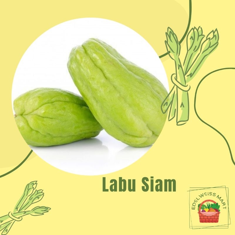 

LABU SIAM/JIPANG/LABU SIAM SERUT/JIPANG SERUT (FRESH) - INSTANT SEMARANG