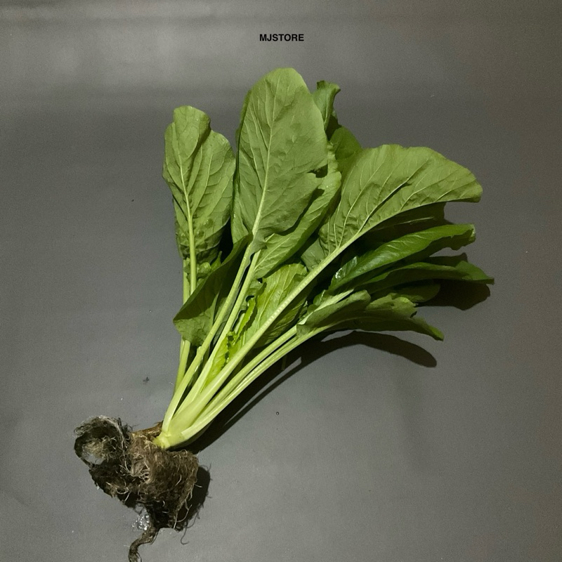 

Sayur Caisim Hijau Segar 1 ikat Fresh Hidroponik