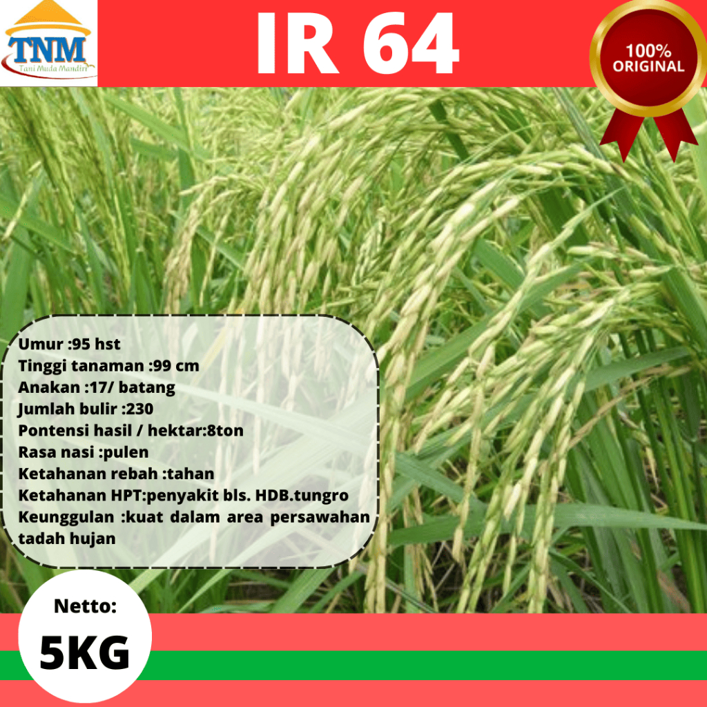 Biji Padi Unggul IR 64/IR64 kemasan 5KG