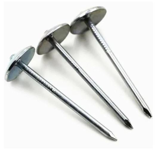 Paku payung / Paku seng 2"