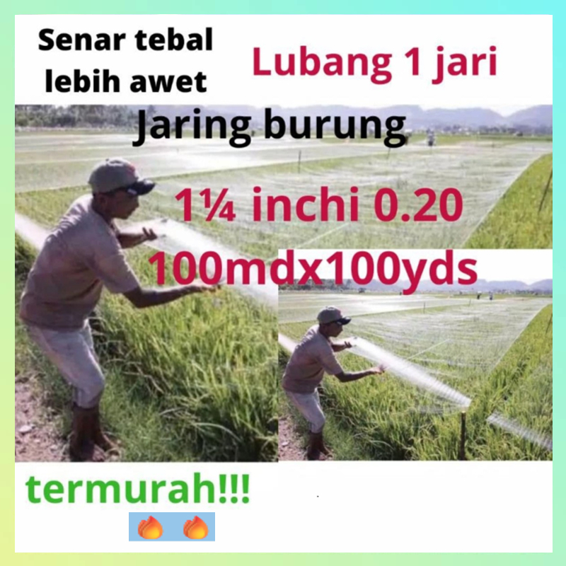 Jaring burung sawah lubang 1 jari jaring burung emprit jaring burung pipit jaring padi jaring burug