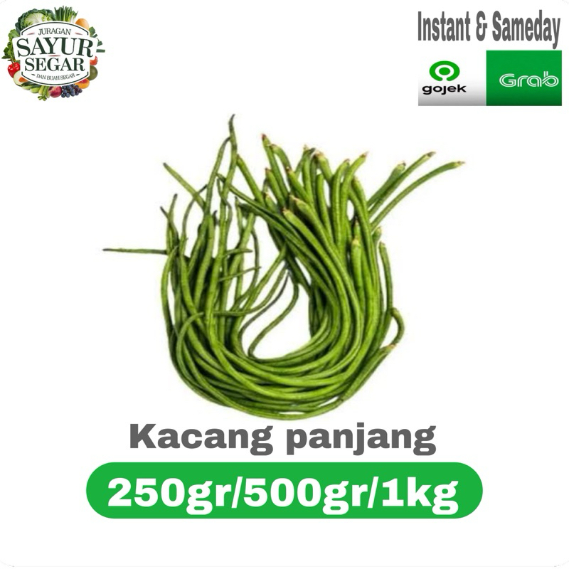

KACANG PANJANG 250gr/500gr/1kg murah