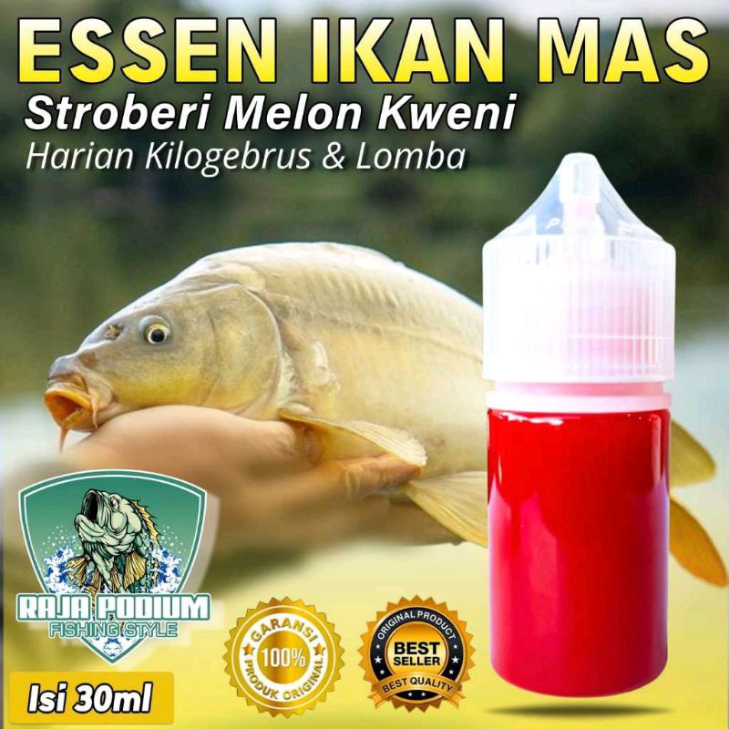 Essen Ikan Mas Paling Gacor Aroma Stroberi Melon Kweni, Essen Ikan Mas, Essen Ikan Mas Harian, Essen
