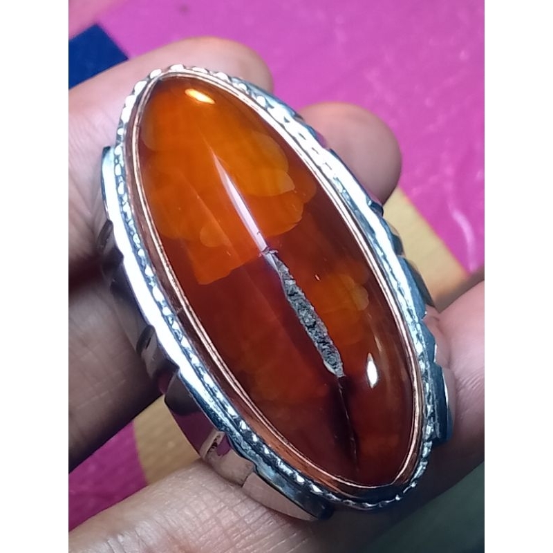 pandan merah jamlang combong