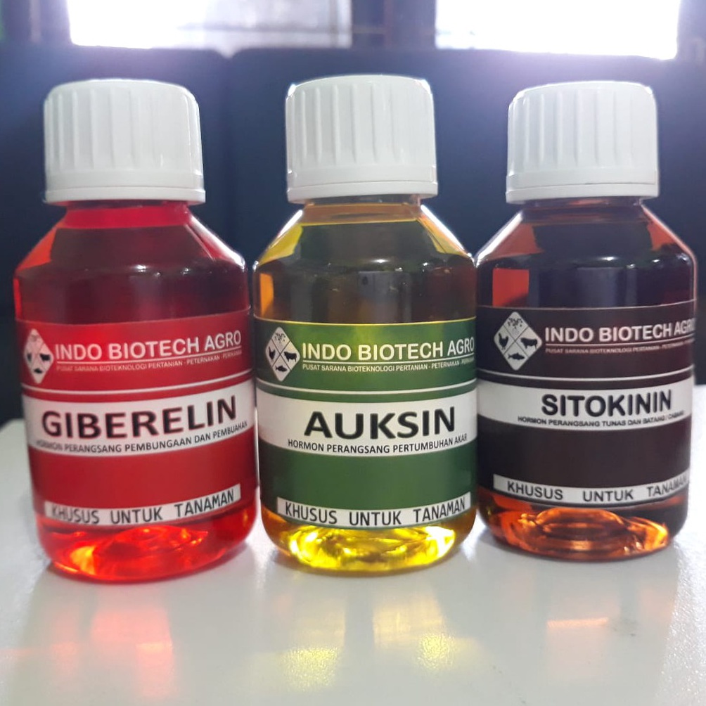Berkualitas Paket Lengkap Giberline Sitokinin Auksin sitokinin sekarang warna kuning
