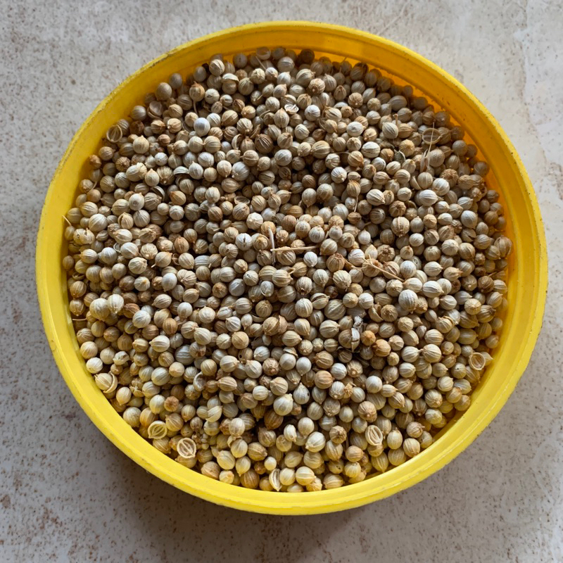 

Ketumbar Wangi Sedap | Ketumbar Segar Premium | Ketumbar Rempah Nusantara | Ketumbar Pilihan Petani | Rempah Ketumbar Asli | Ketumbar Super | Ketumbar Sehat | Ketumbar untuk Masakan Lezat | dan Ketumbar Kualitas Terbaik