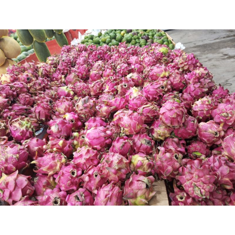 

buah naga merah grade B