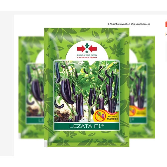 400 BENIH TERONG UNGU LEZATA F1