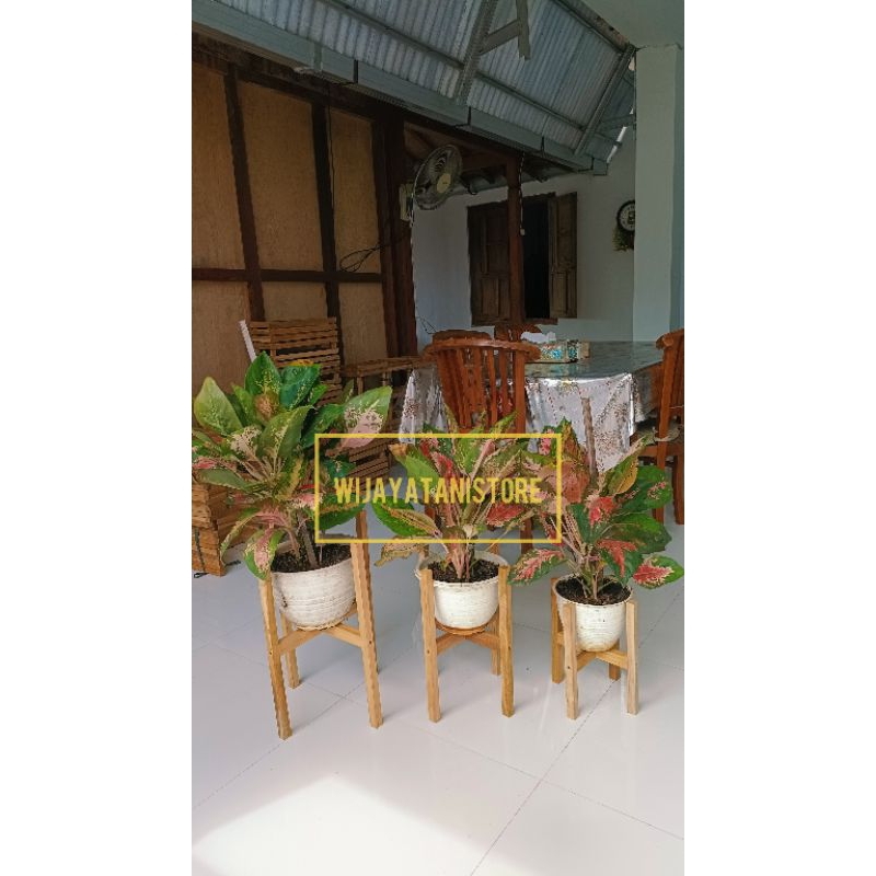 Tatakan Pot Kayu Jati Oven | Rak Tanaman | Rak Kayu Jati