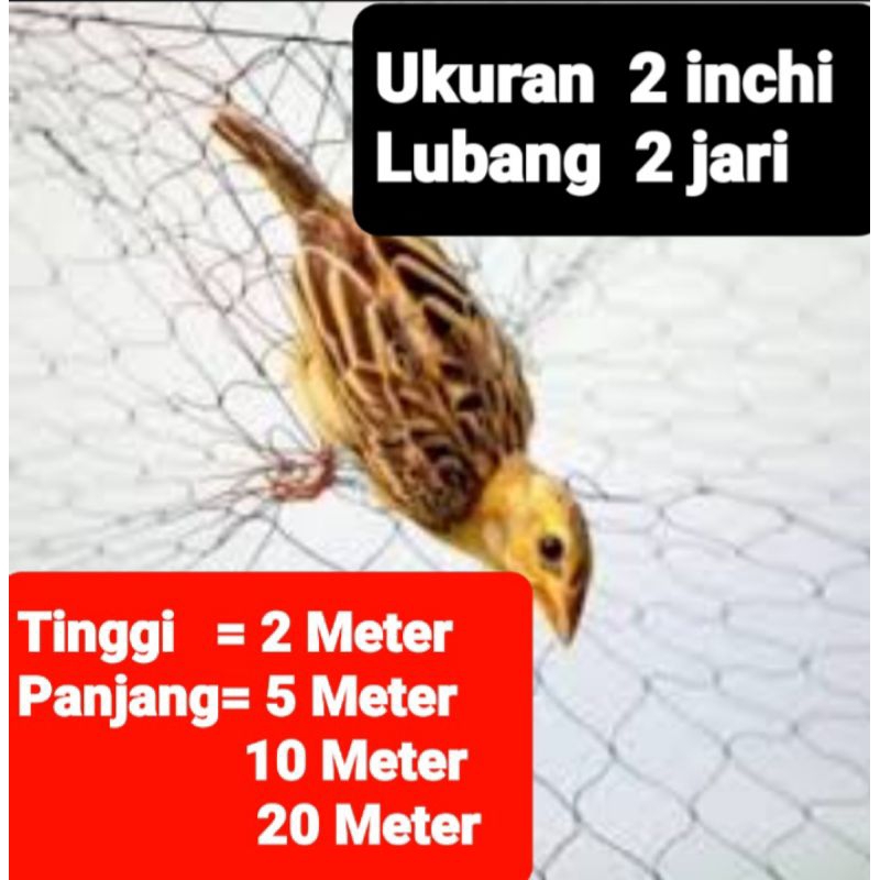 Jaring burung Kecil 0.12 jaring burung hitam jaring perangkap burung jaring burung emprit panjang 20