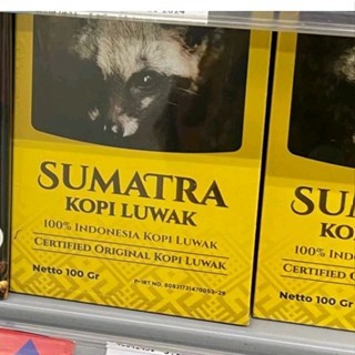 

worcas kopi luwak sumatra 100% berkualitas