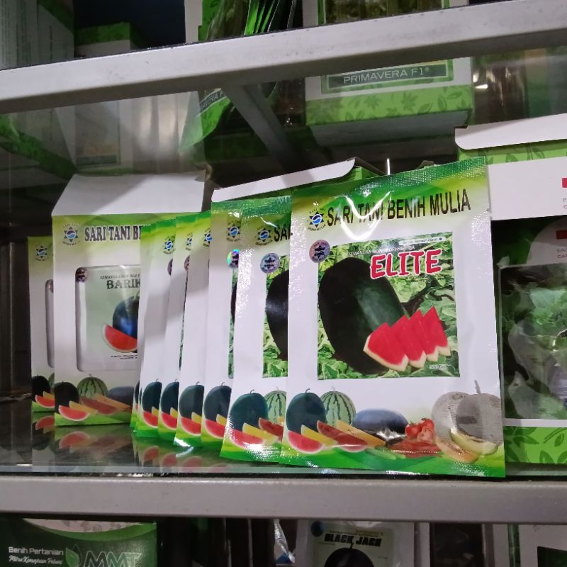 Benih Bibit Semangka Non biji Elite F1, Tipe jumbo/Tahan Virus, tipe Lonjong, Oval, daging merah, Be