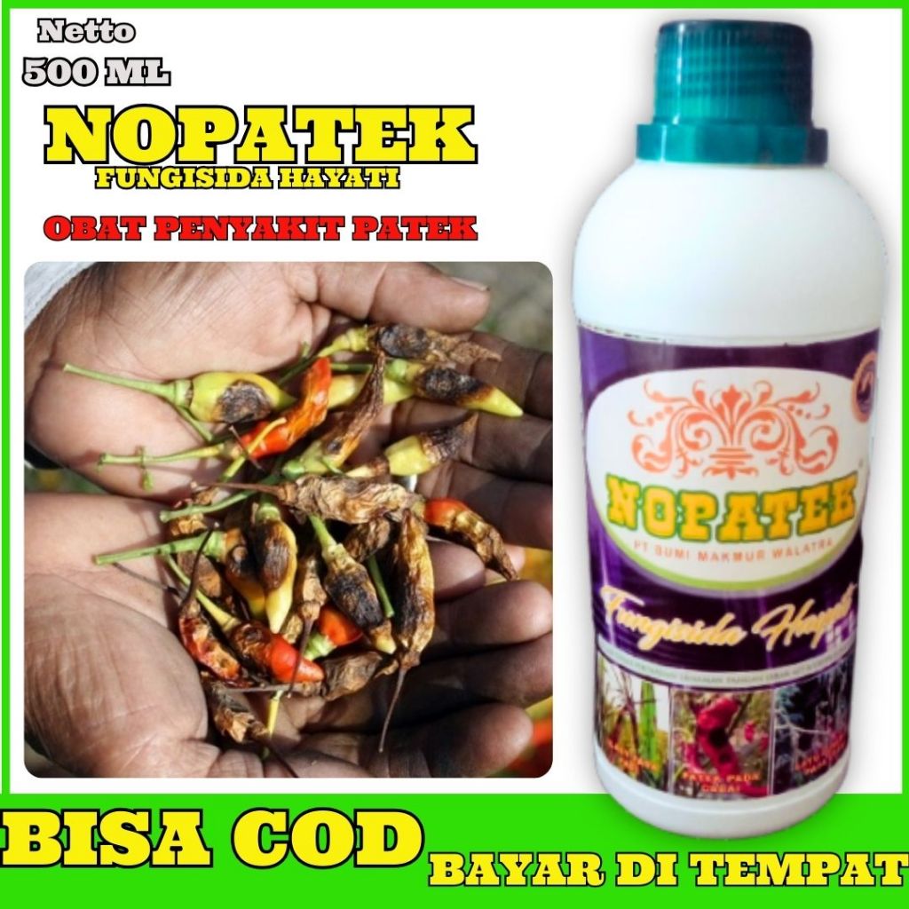 FUNGISIDA NOPATEK TANAMAN SEHAT SAMPAI PANEN