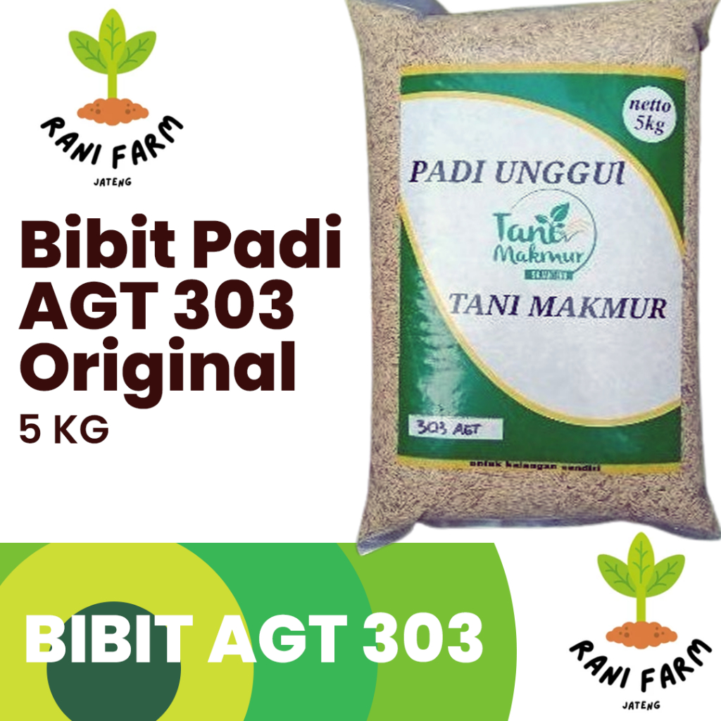 BIBIT BENIH Padi Unggu Tani Makmur Bibit AGT 303 Original 5 Kg