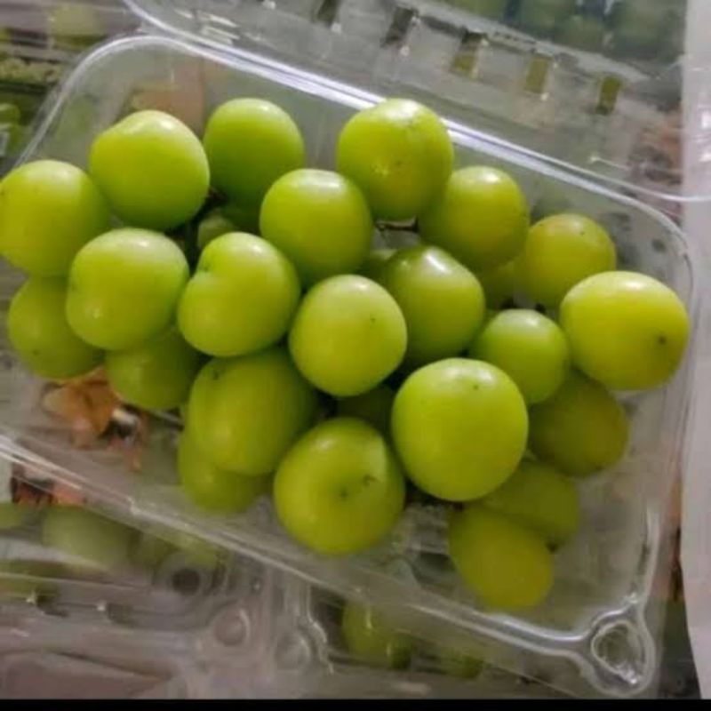 

( Sayur Segar Semarang) Anggur shine Muscat