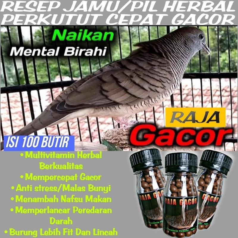 100% ORIGINAL  JAMU PERKUTUT RAJA GACOR ISI 100 BUTIR obat malas bunyi nutrobird crystal pil APBN jo