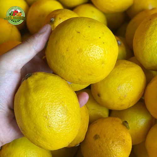 

Jeruk Lemon California 1kg - Cocok untuk usaha teh - Cocok untuk Diet