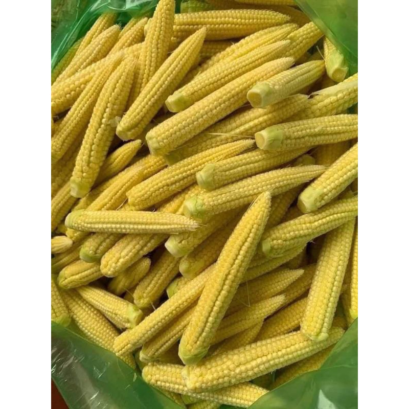 

Baby Corn