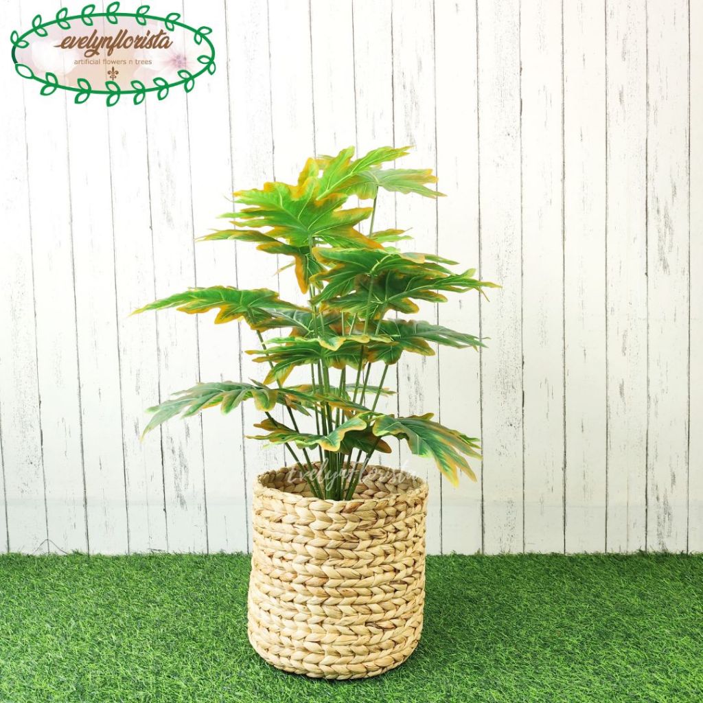Tanaman Artificial Daun Monstera Jari Philo Orange X18 Semilatex Cover Eceng Gondok Hiasan Sudut Bal