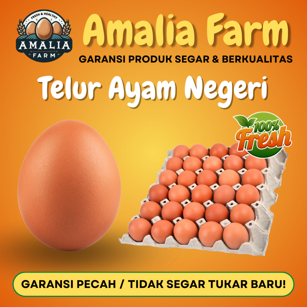 

Amalia Farm - 1 KG Telur Ayam Negeri PREMIUM