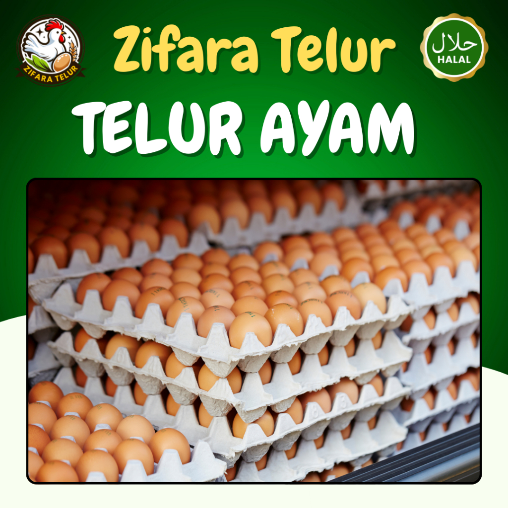 

RB Zifara Telur - 1 Tray Telur Ayam Negeri isi 30 Butir PREMIUM
