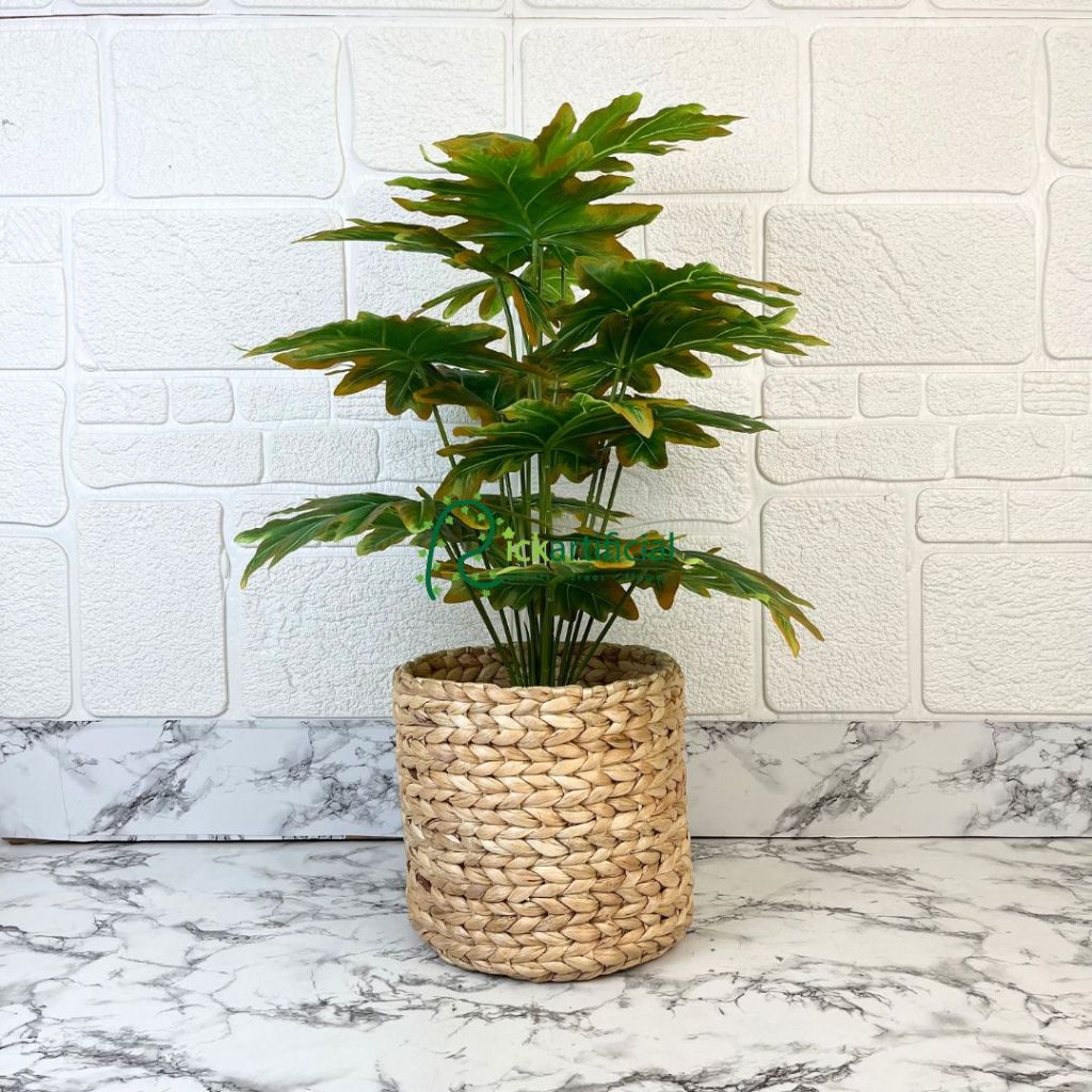 Tanaman Daun Artificial Pohon Hias Monstera Jari Philo Orange X18 Semilatex Cover Eceng Gondok Dekor