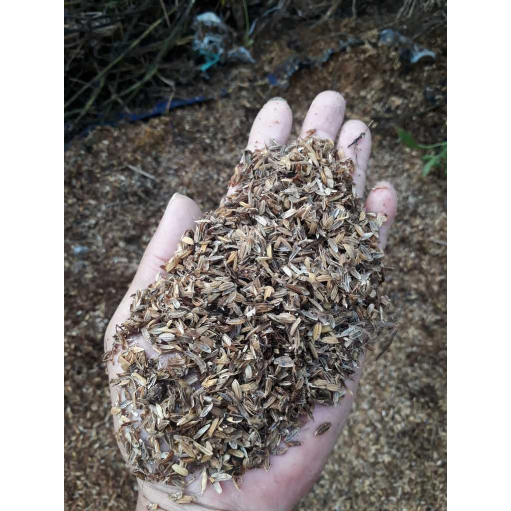 RB Sekam Fermentasi/Lapuk Mix