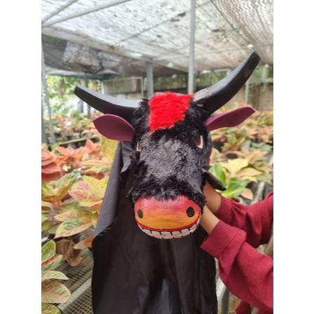 BANTENG FULL BULU KECIL BESAR/ BANTENGAN MBEROT