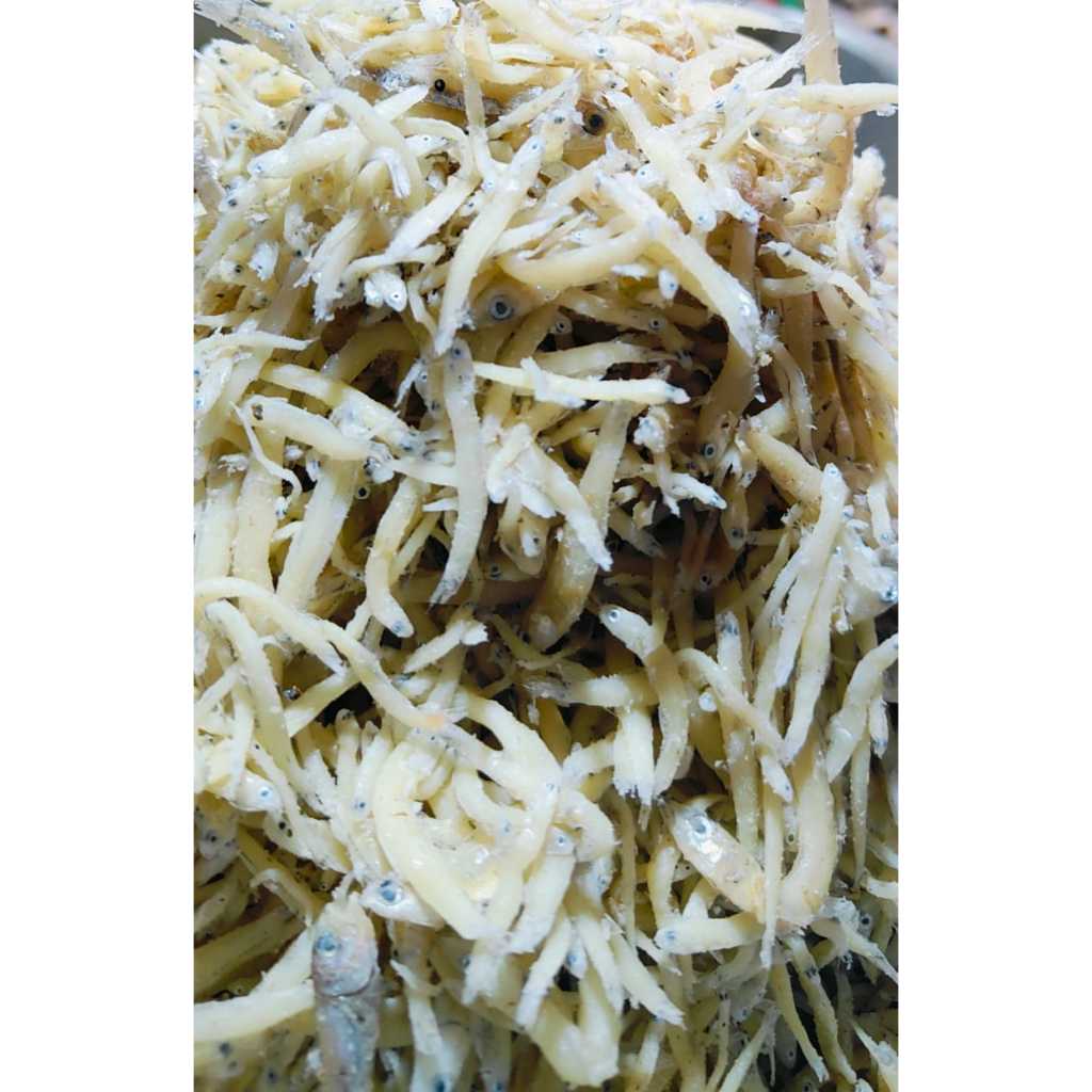 

Grosir ikan asin dian-Teri nasi medan