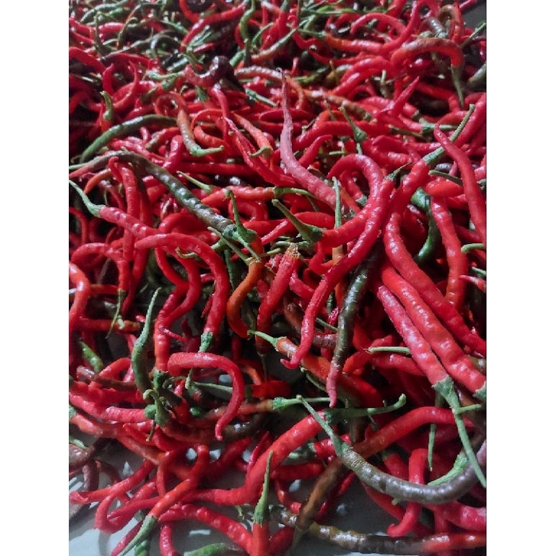 

Cabai Merah Keriting 1kg