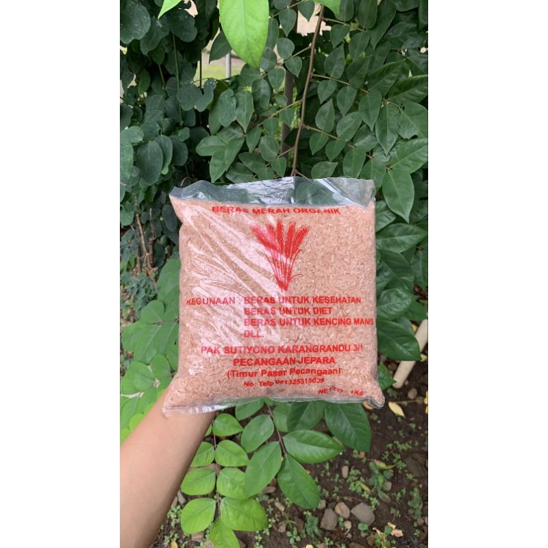 

Beras Merah Organik Asli Jepara 1kg