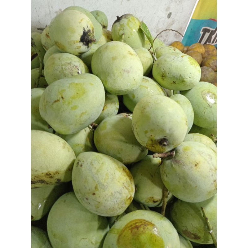 

mangga indaramayu 1kg