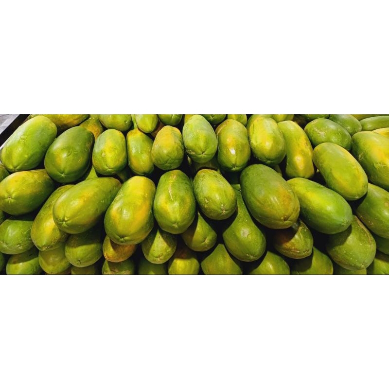 

Pepaya California Perglundung
