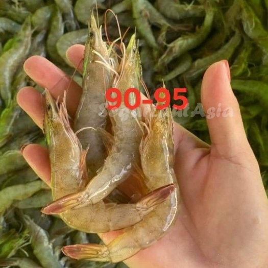 

Udang Vaname Segar Udang Vaname Utuh 90-100 Ekor Seafood Udang Segar 1Kg