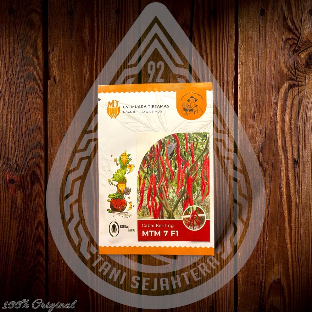 BENIH CABAI KERITING MTM 7 F1 (10gr)