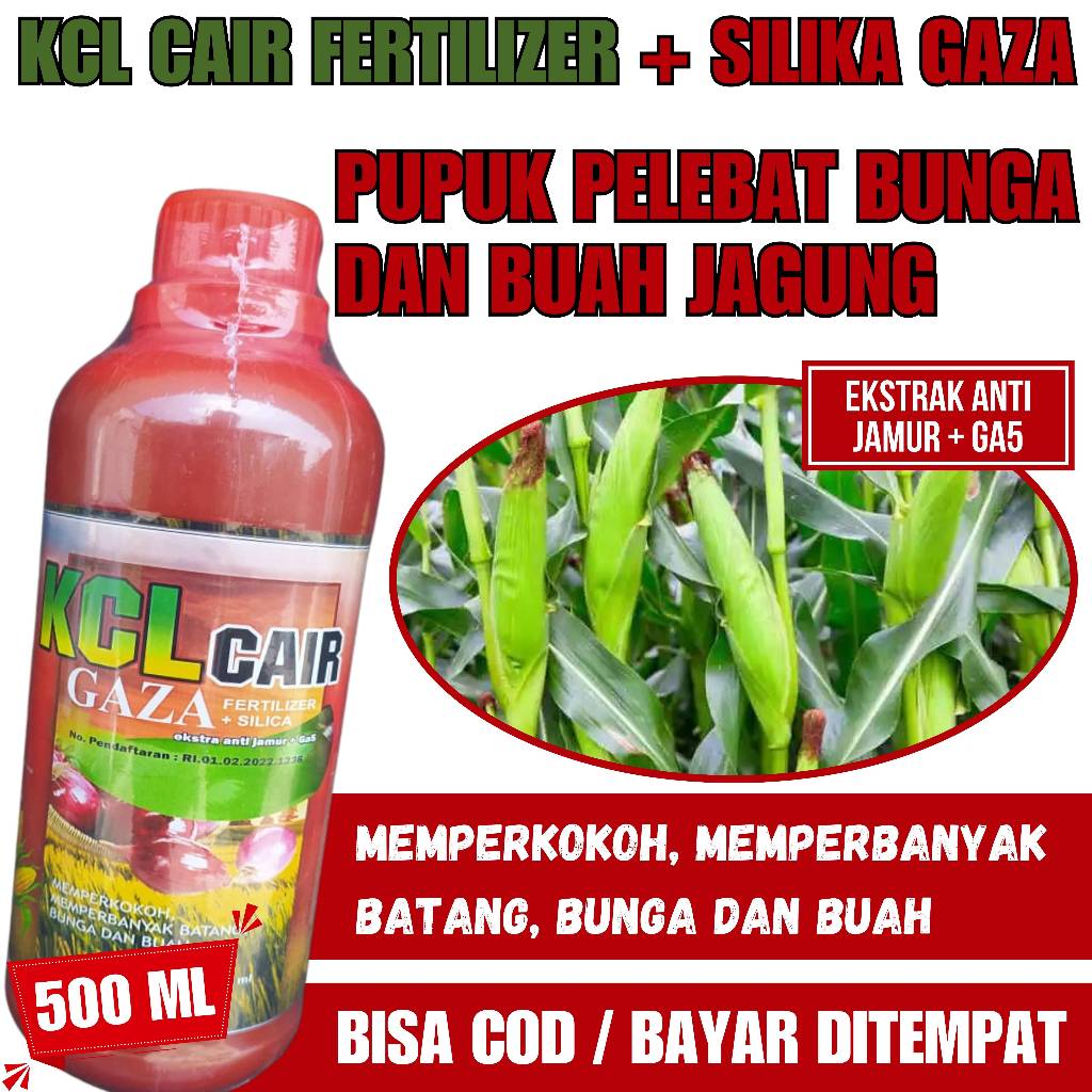 Pupuk Kalsium Cair Pelebat Jagung KCL GAZA isi 500 ML - Solusi Anti Bulai dan Rontok untuk Jagung