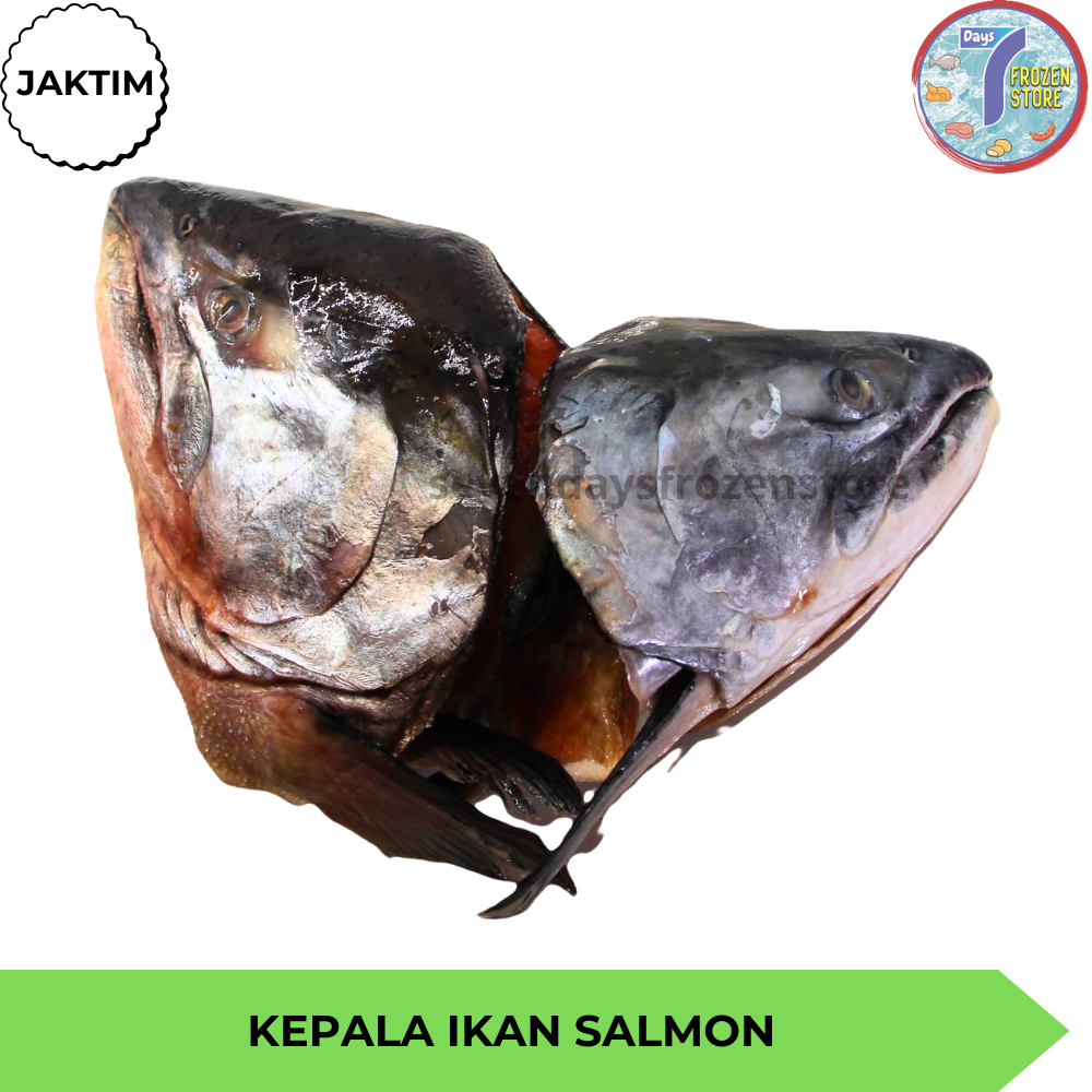 

Kepala Ikan Salmon Beku Frozen Import Premium