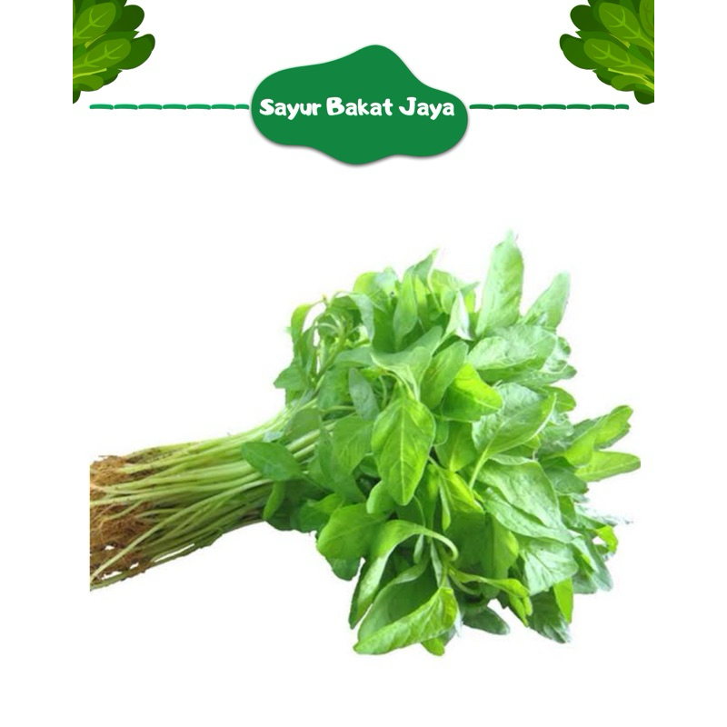 

SAYUR BAYAM PER IKET