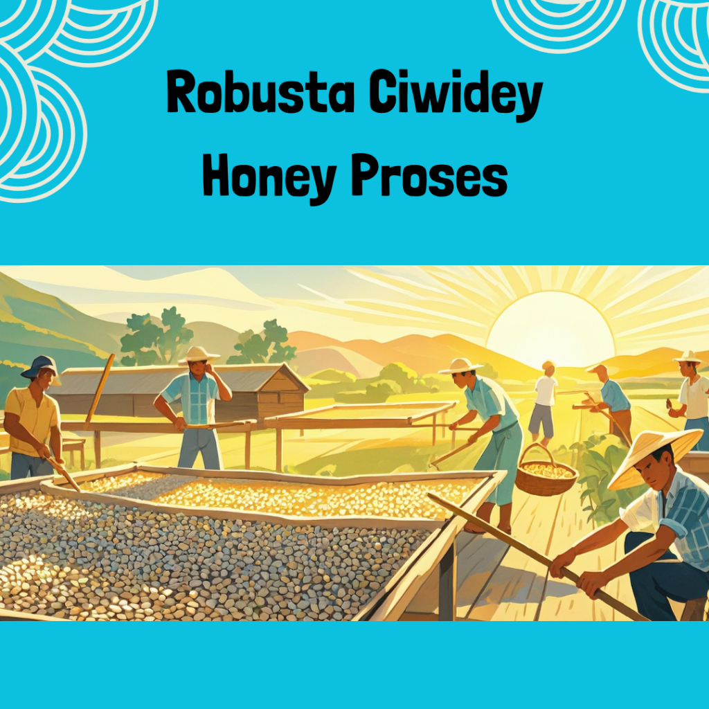 

Kopi Robusta Ciwidey (Specialty Grade) - Proses Honey - 200G