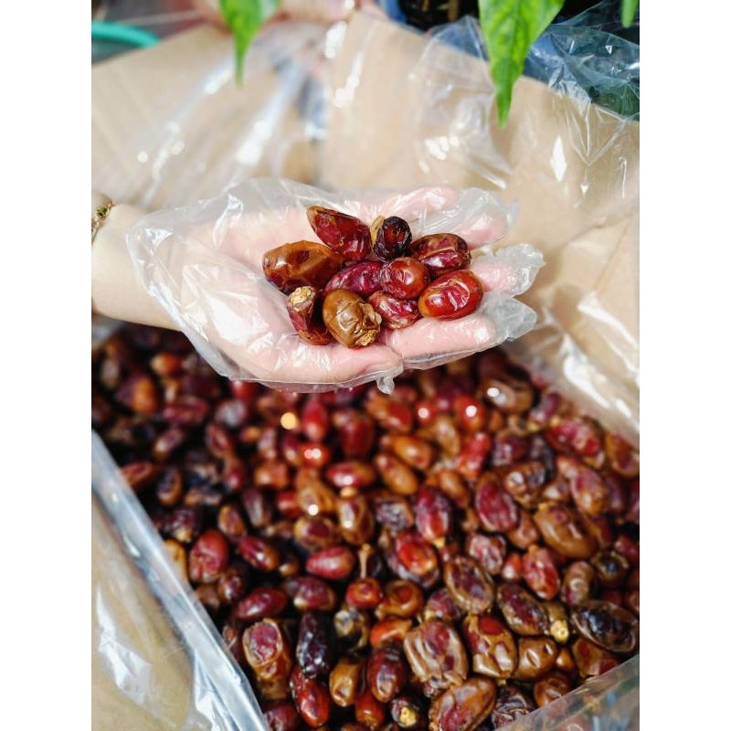 

Kurma Emirates Gold Sayer 10 Kg Al Saad Empuk Murah Balikpapan Kalimantan