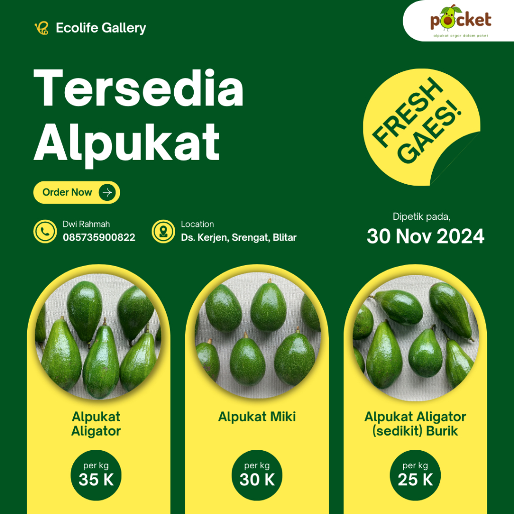 

Alpukat #pocket